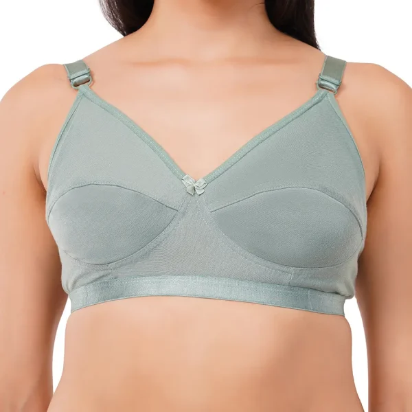 Fiore Full Coverage Everyday Bra (Pack of 1) - Sky Blue - Image 2